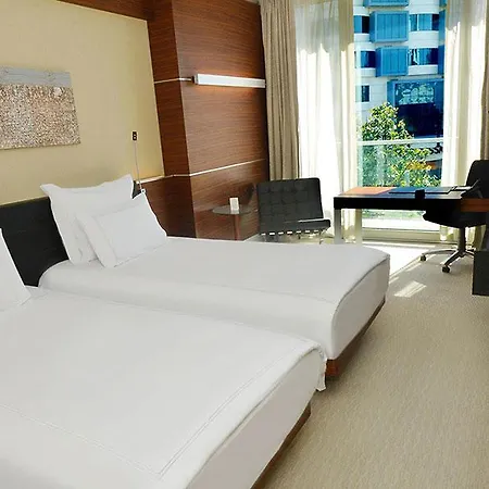 Hotel Swissotel Buyuk Efes 5*