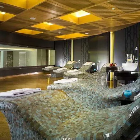 Swissotel Buyuk Efes ホテル イズミル