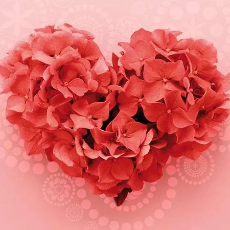 ホテル Swissotel Buyuk Efes 5*