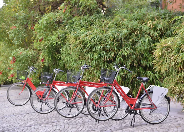 Swissotel Buyuk Efes